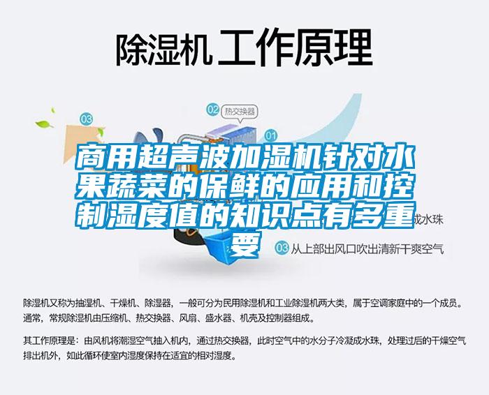 商用超聲波加濕機針對水果蔬菜的保鮮的應用和控制濕度值的知識點有多重要