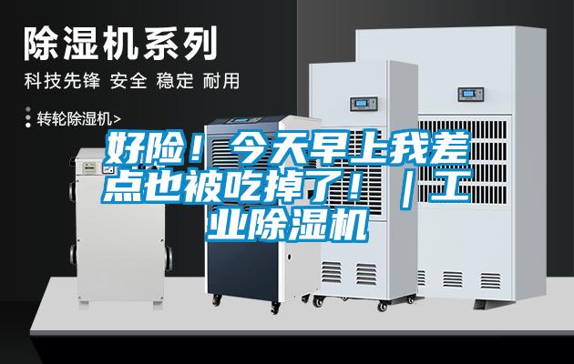 好險！今天早上我差點也被吃掉了！｜工業除濕機