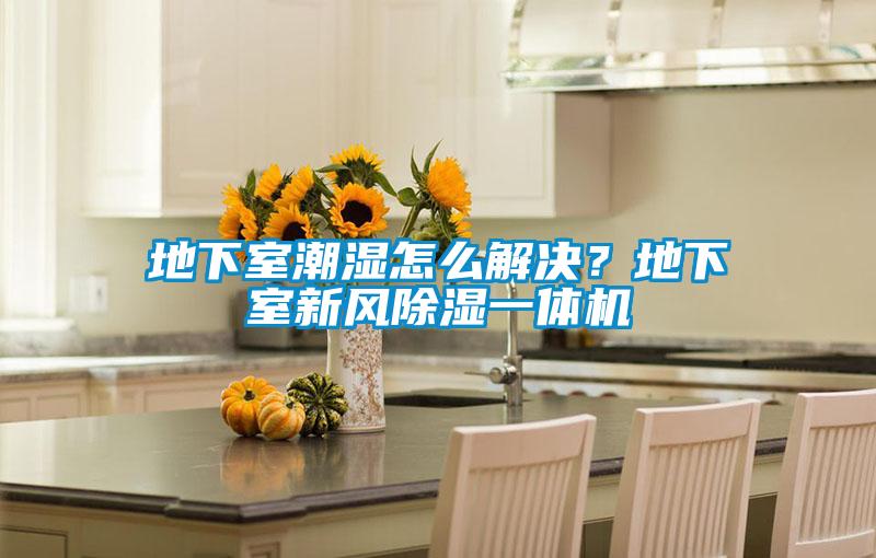 地下室潮濕怎么解決？地下室新風除濕一體機