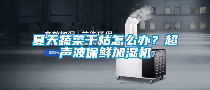 夏天蔬菜干枯怎么辦？超聲波保鮮加濕機