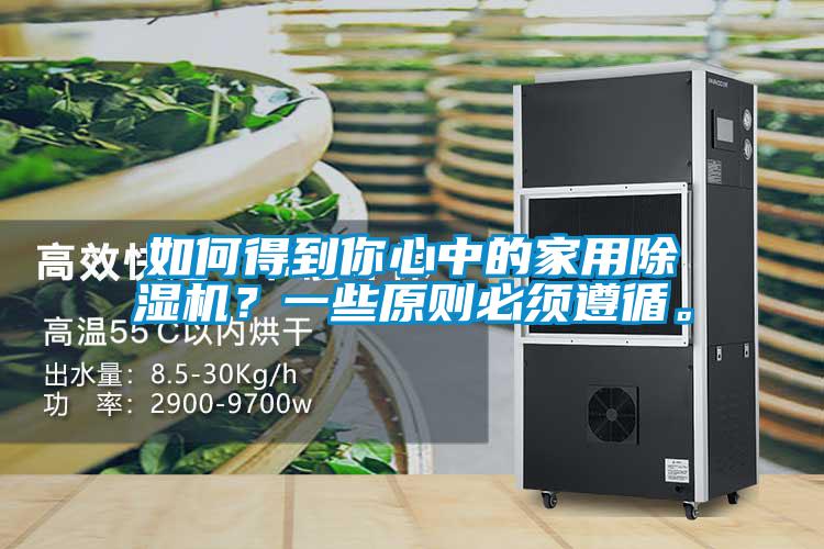 如何得到你心中的家用除濕機？一些原則必須遵循。