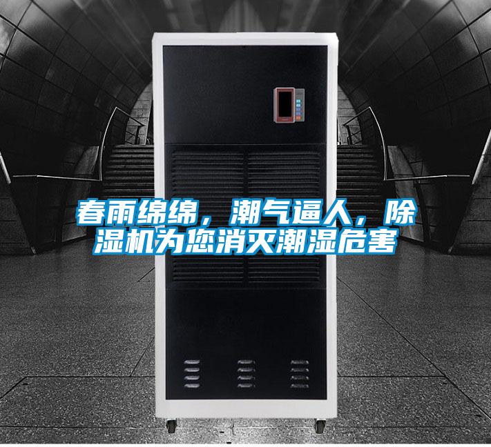 春雨綿綿，潮氣逼人，除濕機為您消滅潮濕危害