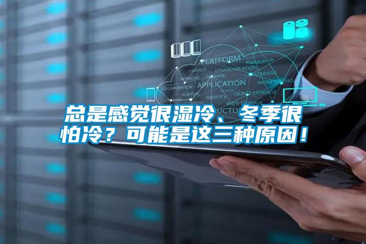 總是感覺很濕冷、冬季很怕冷？可能是這三種原因！