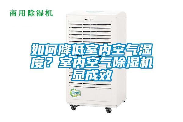 如何降低室內空氣濕度?室內空氣除濕機顯成效