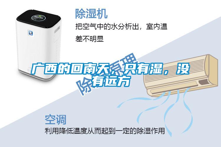 廣西的回南天，只有濕，沒有遠方