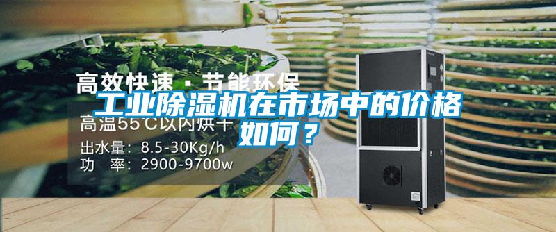 工業除濕機在市場中的價格如何？
