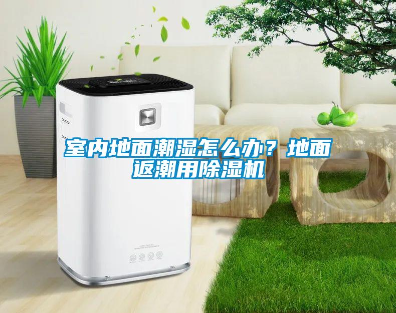 室內地面潮濕怎么辦？地面返潮用除濕機
