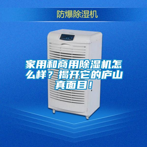 家用和商用除濕機怎么樣？揭開它的廬山真面目！