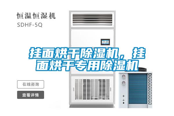 掛面烘干除濕機，掛面烘干專用除濕機