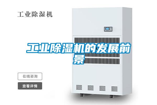 工業(yè)除濕機(jī)的發(fā)展前景