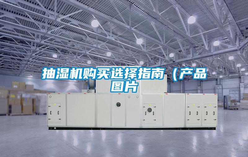 抽濕機購買選擇指南（產品圖片