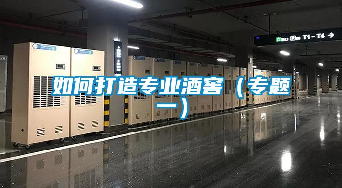 如何打造專業酒窖（專題一）