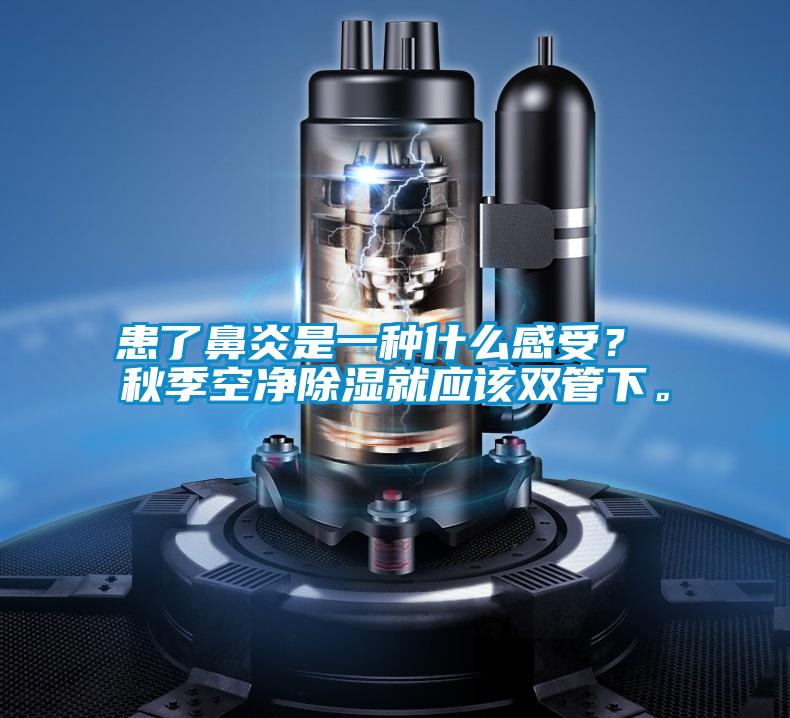 患了鼻炎是一種什么感受？ 秋季空凈除濕就應該雙管下。