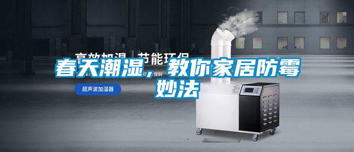 春天潮濕，教你家居防霉妙法