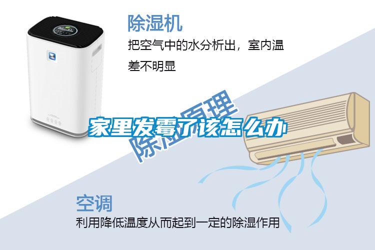 家里發(fā)霉了該怎么辦