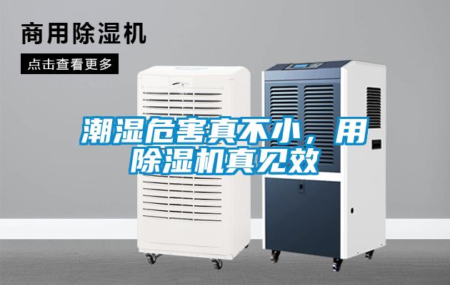 潮濕危害真不小,用除濕機真見效