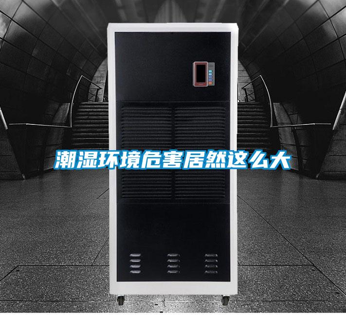 潮濕環境危害居然這么大