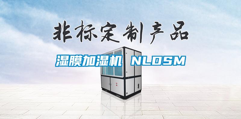濕膜加濕機 NLDSM