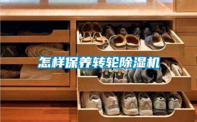 怎樣保養轉輪除濕機