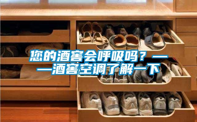 您的酒窖會呼吸嗎？——酒窖空調了解一下