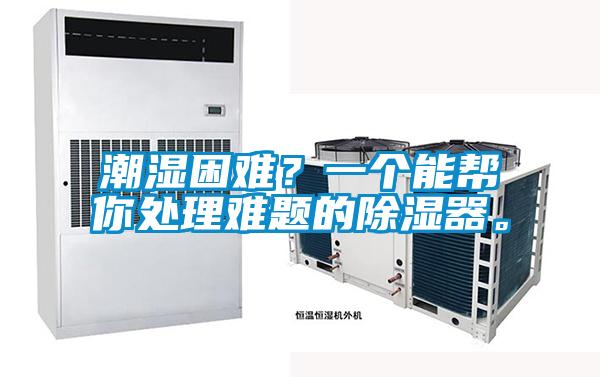 潮濕困難？一個能幫你處理難題的除濕器。