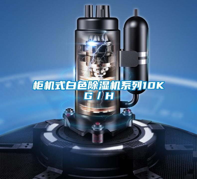 柜機式白色除濕機系列10KG／H