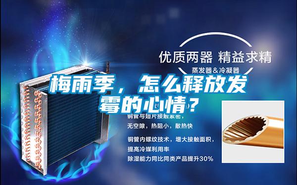 梅雨季，怎么釋放發霉的心情？