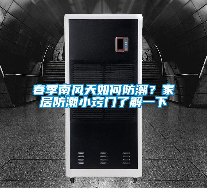 春季南風(fēng)天如何防潮?家居防潮小竅門(mén)了解一下