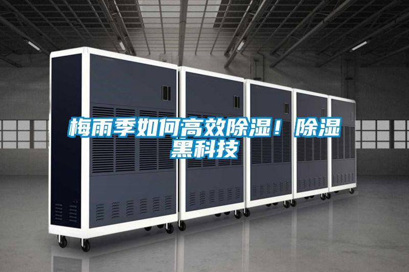 梅雨季如何高效除濕！除濕黑科技