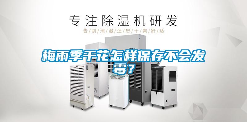 梅雨季干花怎樣保存不會發霉?