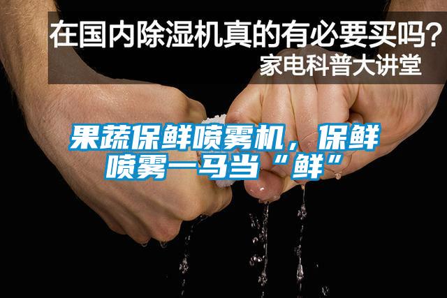 果蔬保鮮噴霧機(jī)，保鮮噴霧一馬當(dāng)“鮮”