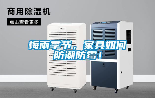 梅雨季節，家具如何防潮防霉！