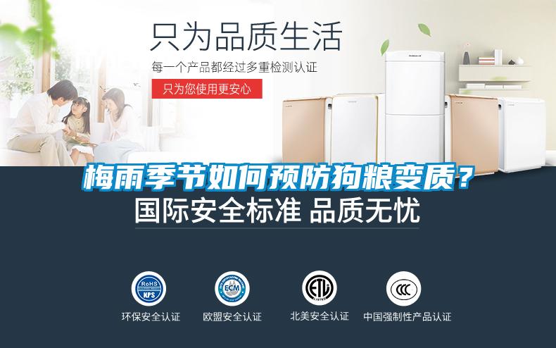 梅雨季節(jié)如何預(yù)防狗糧變質(zhì)？