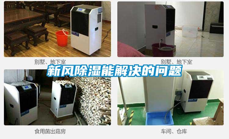 新風(fēng)除濕能解決的問題