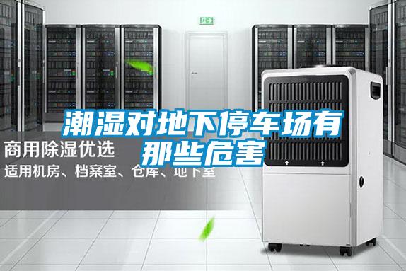 潮濕對地下停車場有那些危害