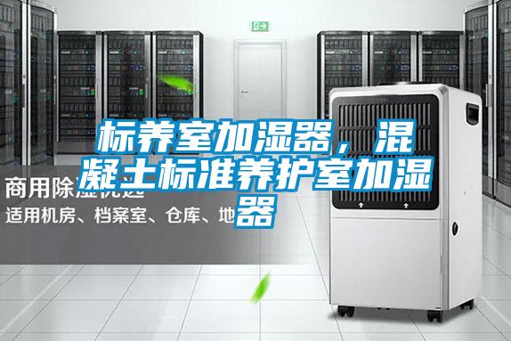 標(biāo)養(yǎng)室加濕器，混凝土標(biāo)準(zhǔn)養(yǎng)護(hù)室加濕器