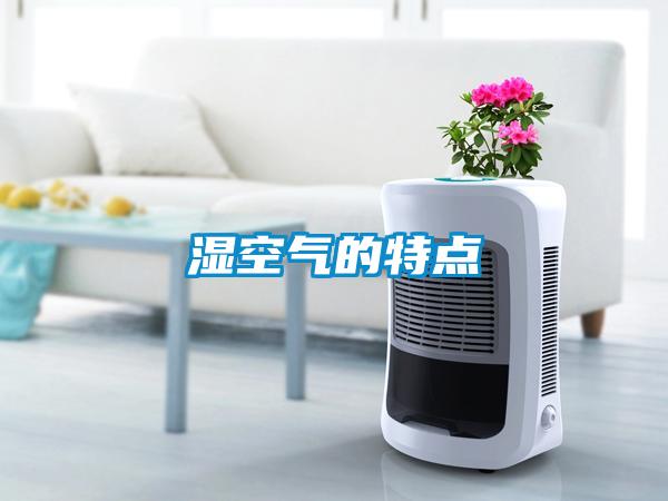濕空氣的特點