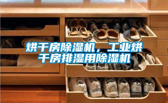 烘干房除濕機，工業烘干房排濕用除濕機