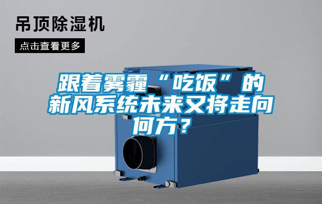 跟著霧霾“吃飯”的新風系統未來又將走向何方？