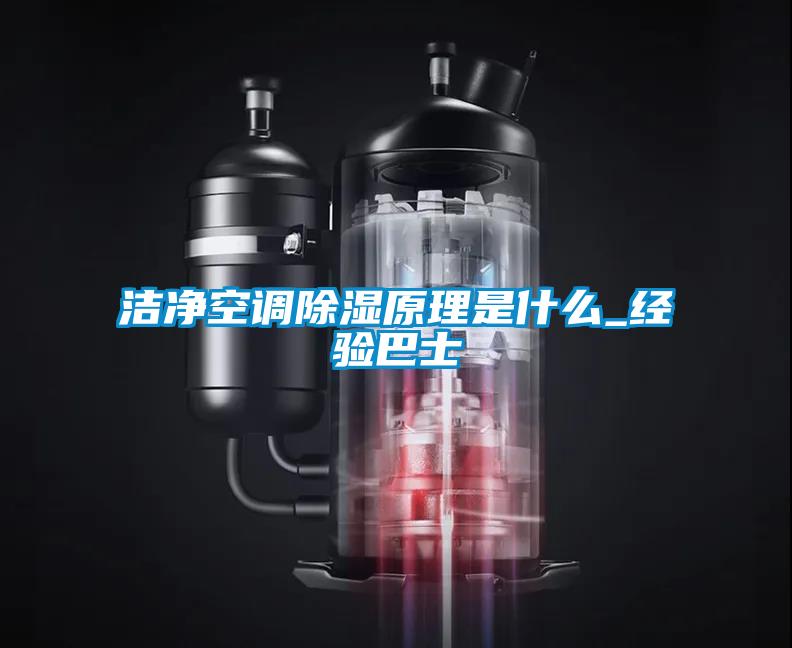 潔凈空調(diào)除濕原理是什么_經(jīng)驗(yàn)巴士