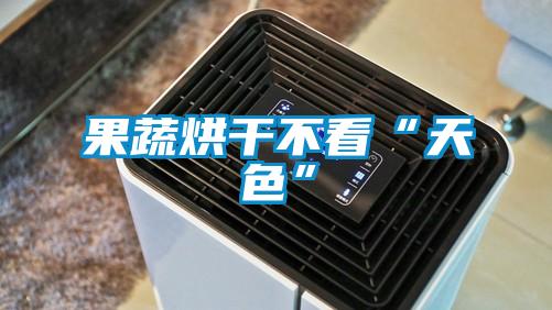 果蔬烘干不看“天色”