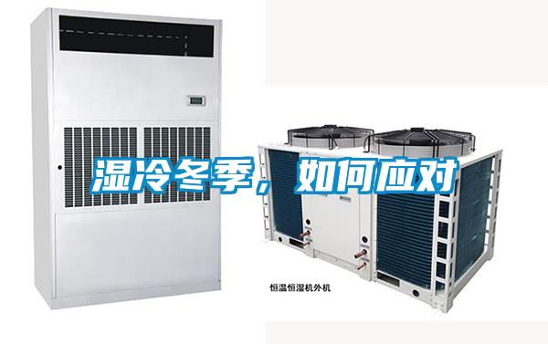 濕冷冬季,如何應對