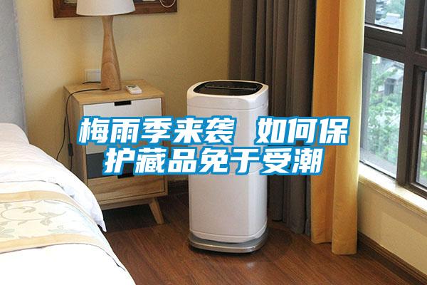 梅雨季來襲 如何保護藏品免于受潮