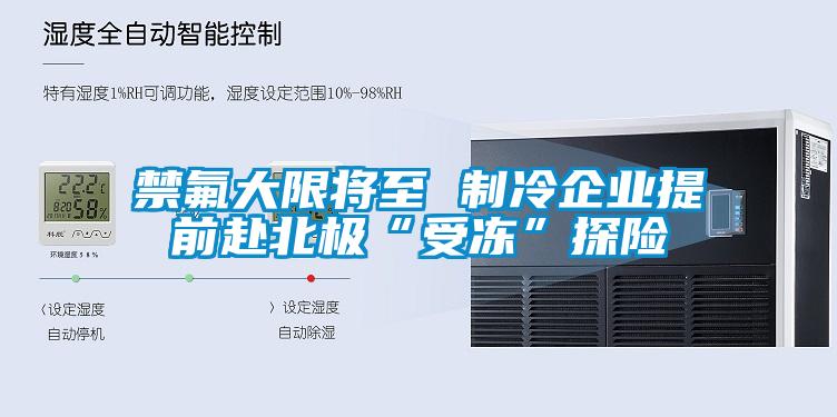 禁氟大限將至 制冷企業提前赴北極“受凍”探險