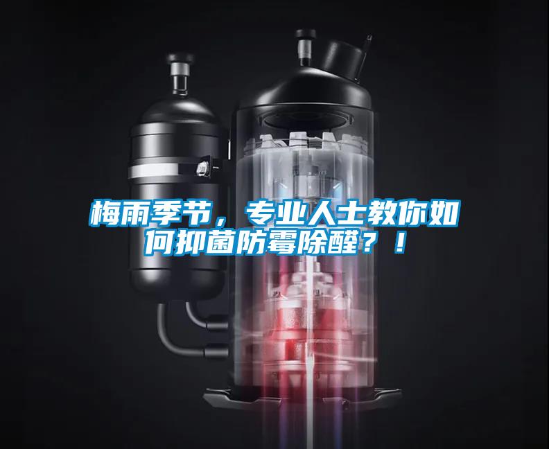 梅雨季節,專業人士教你如何抑菌防霉除醛?!