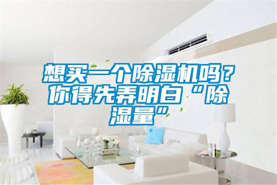 想買一個除濕機嗎？你得先弄明白“除濕量”