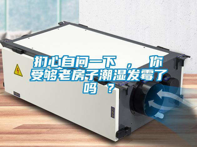 捫心自問一下 ， 你受夠老房子潮濕發霉了嗎 ？