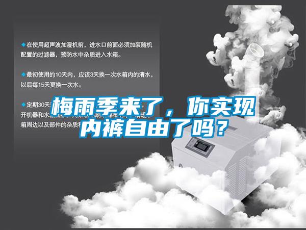 梅雨季來了，你實現內褲自由了嗎？