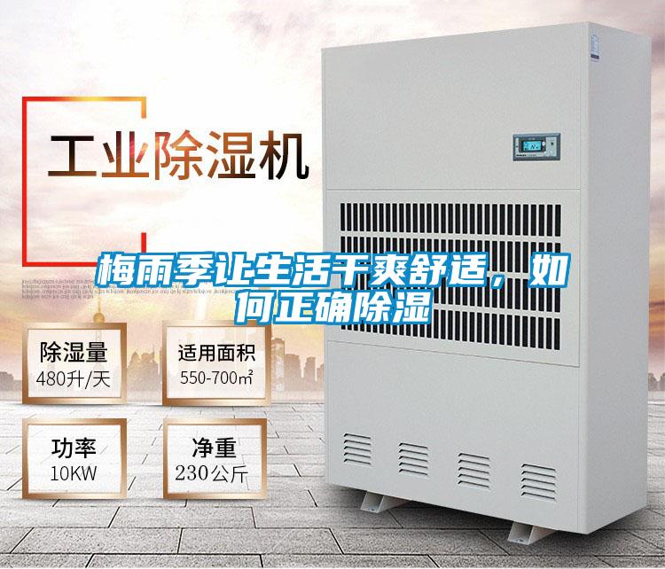 梅雨季讓生活干爽舒適，如何正確除濕