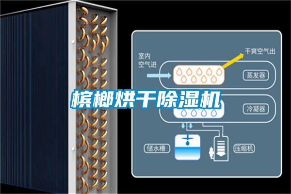 檳榔烘干除濕機(jī)